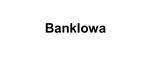 Logo for BankIowa 2
