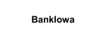 Logo for BankIowa 2